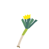 Eure Durchlaucht