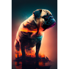 Mops Möpse Hund Dog