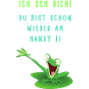 Lustiger Frosch