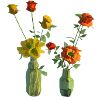 Flowers in vase