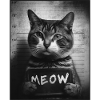 Cat Mugshot - Meow