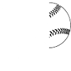 Baseball lover