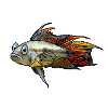 apistogramma cacatuoides