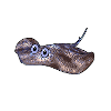 Raie Rivière (Potamotrygon hystrix)