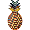 Happy Ananas Style