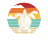 Retro Tortoise Water Turtle