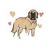 Mastiff Chien Vieux Mastiff anglais