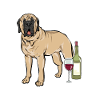 Mastiff Chien Vieux Mastiff anglais