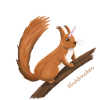 Einhörnchen