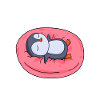 Pinguin Pinguine