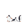 Penguin Lover Penguin Gifts