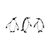 Penguin Lover Penguin Cadeaux
