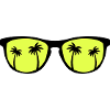 Lunettes de soleil Palmes