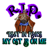 RIP rest in peace my cat is on me