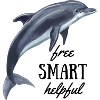 Delfin - free, smart, helpful