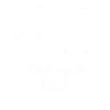 Libre comme un oiseau.