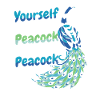 Paon Oiseau Animal Paons