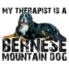 Berner Sennenhund