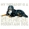 Bouvier bernois