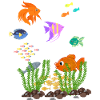 aquarium
