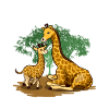 Giraffe Mama Baby