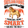Shetland Pony Gift Shetty