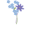 Light Bulb Flowers Bouquet Nature
