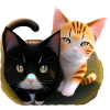 Two cute cats