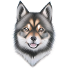 The cute dog