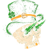 Crâne de St Patrick