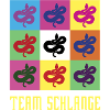 Team Schlange