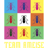 Team Ameise