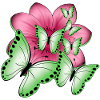 Schmetterlinge Blume