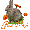 glad pask Frohe Ostern