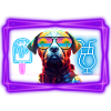 Neon dog