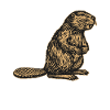 Barrage It