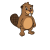 Beaver Whisperer