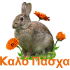 καλό Πάσχα Frohe Ostern