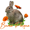 buona pasqua