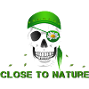 skull close to nature
