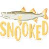 Snooked