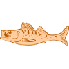 Captain Walleye