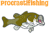 Procrastifishing Definition