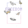 FREEDOM