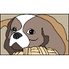 Süßer Hund
