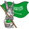 Saudi Arabian Rabbit