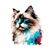 Ragdoll Katzenaquarell