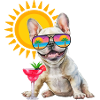 Dog on holiday
