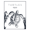 Turtles Chinese Hanzi Water Turtle