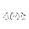 Penguin Lover Penguin Gifts
